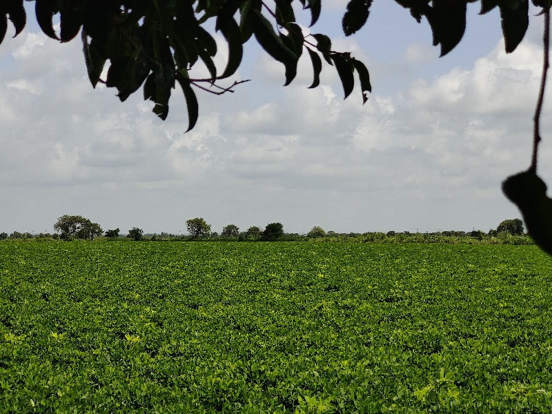 કાદરી લેપાક્ષી...