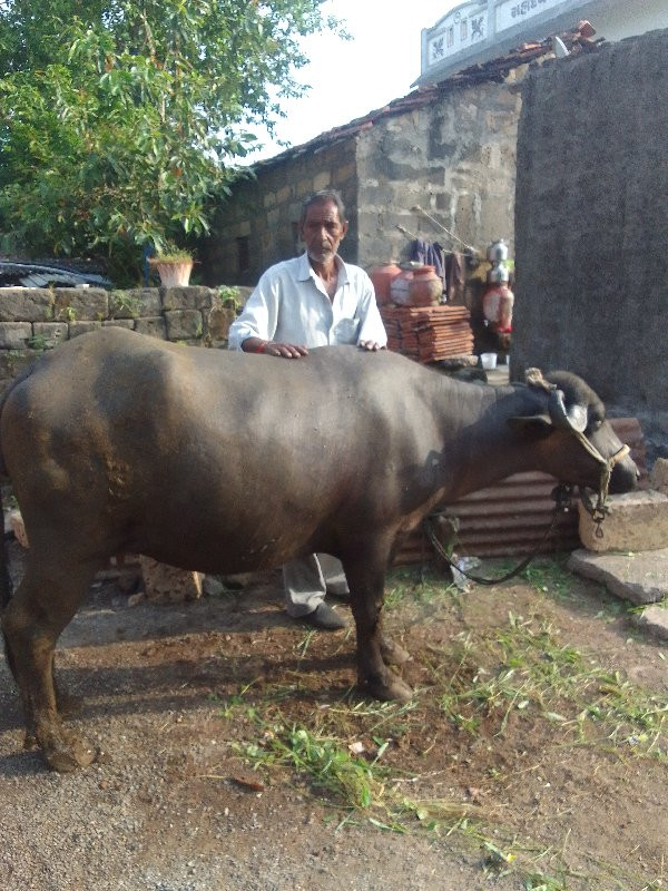 પેલ વેતરી ખડેલી...