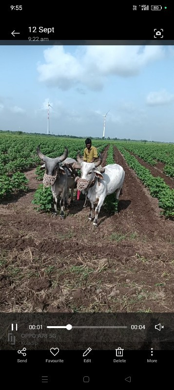 બરદ,છે