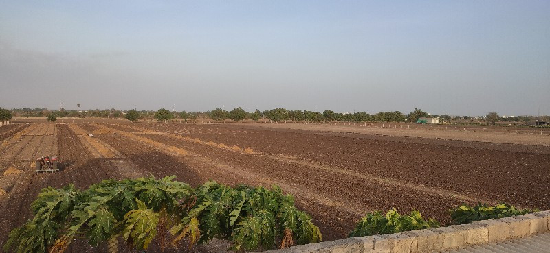 લાલપુર માં જમીન...