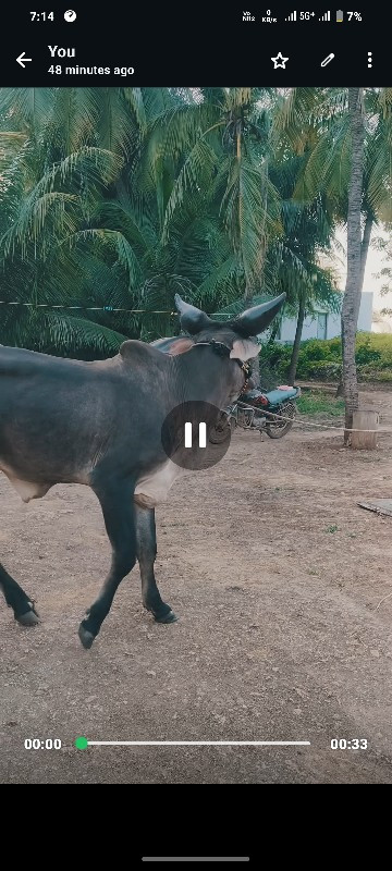 વેચવાનો છે..