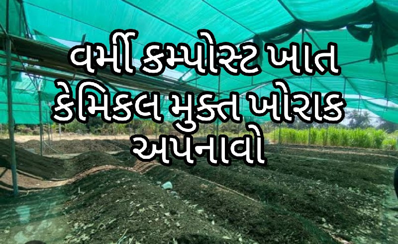 વર્મી કમ્પોસ્ટ...