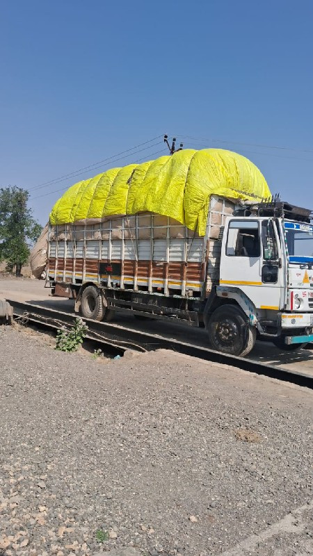 માગફડી નો પાલો...