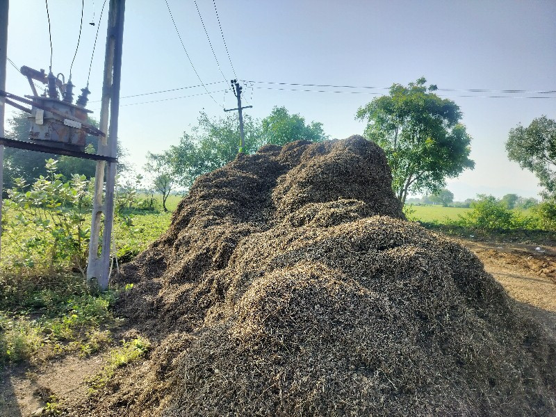 મગફળી નું ભુક્ક...