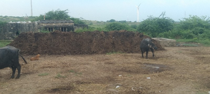 આ ખાતર વેસવાનુ...