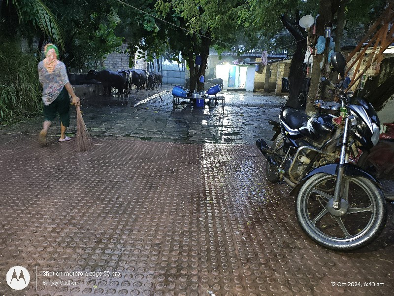 છાણીયું ખાતર