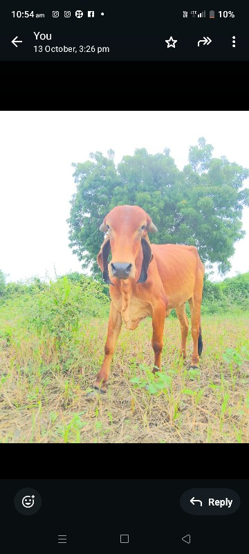 વેચવાની છે