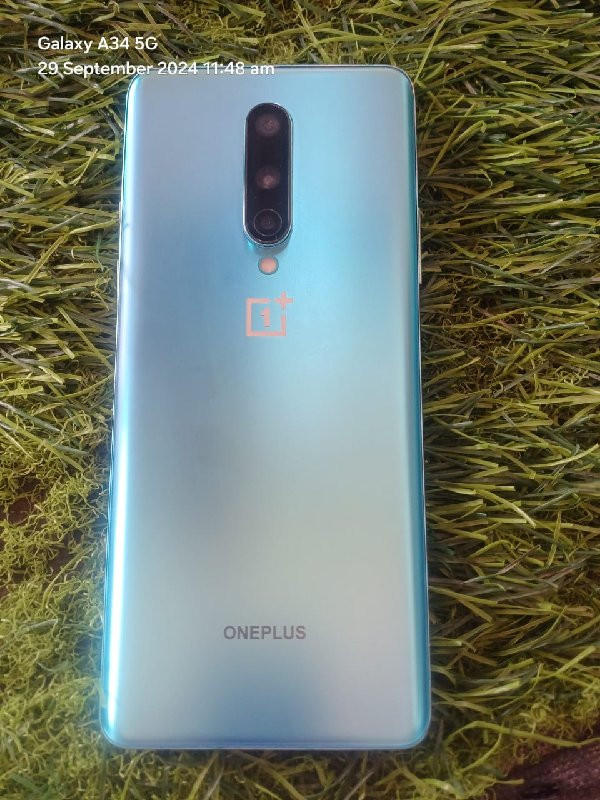 one plus 8