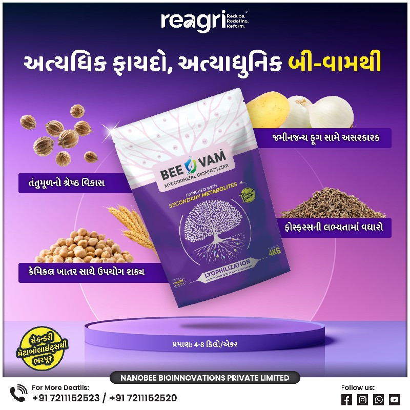 પાયાનું ખાતર