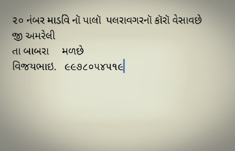 પાલૉ