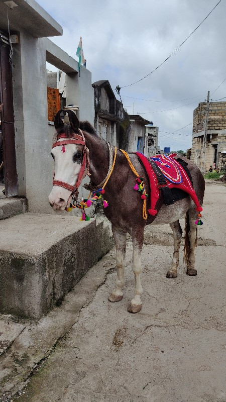 વેચવાની છે