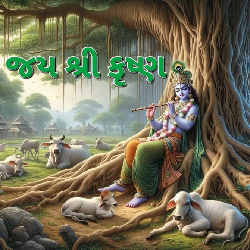 બે જર્સી ગાય વે...