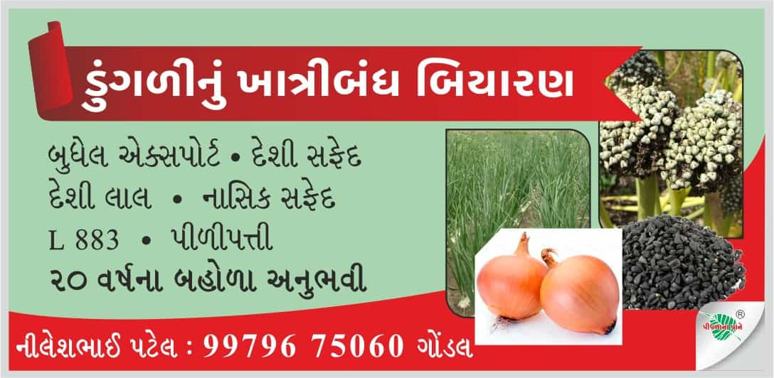 બુધેલ સફેદ ડુંગ...