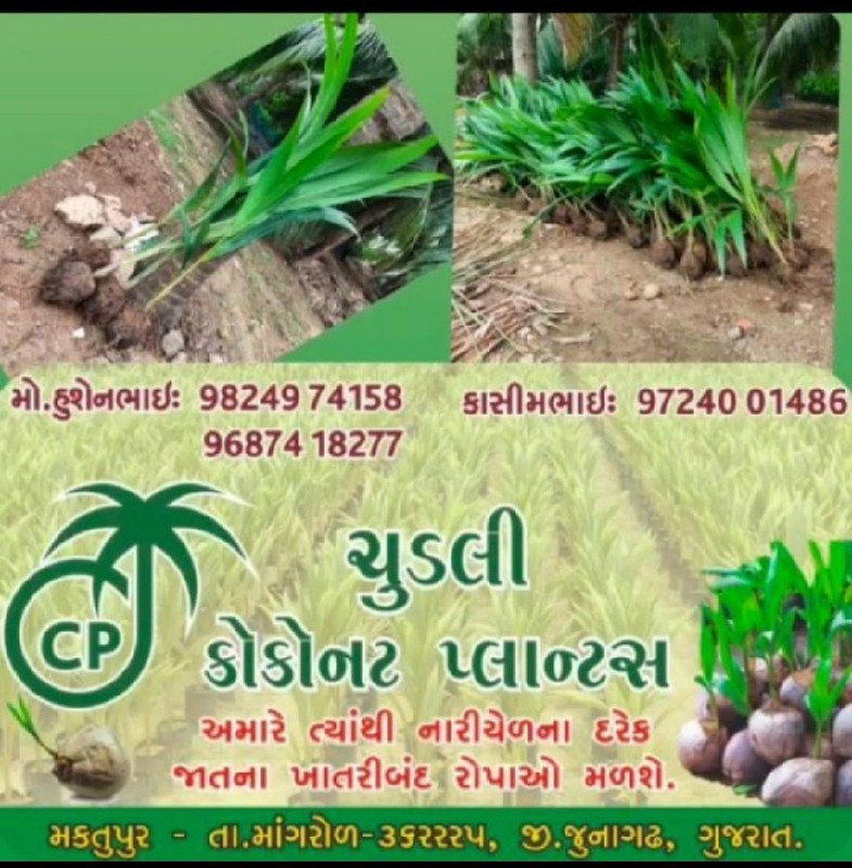 મુહમ્મદ હુસેન ચ...