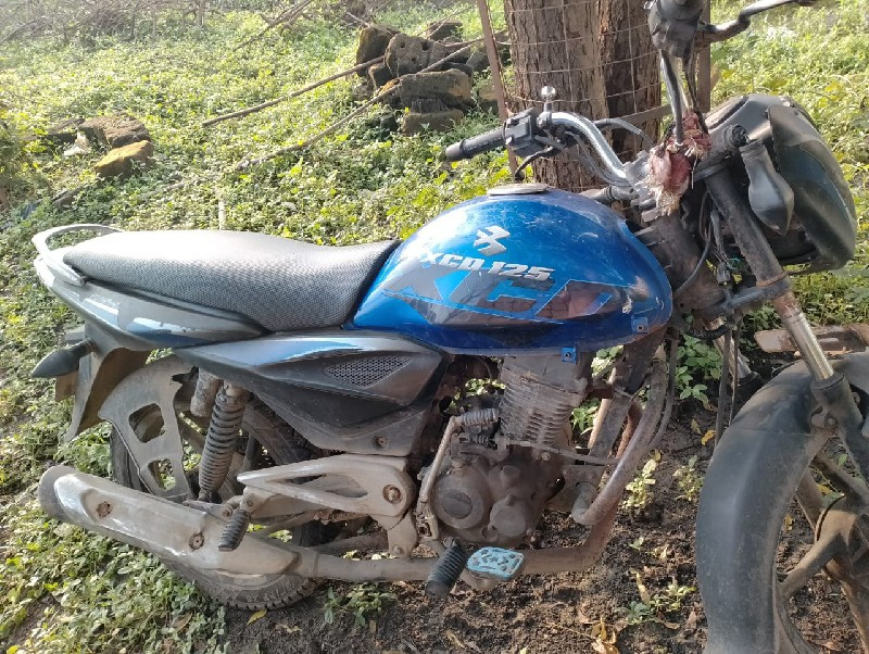 bajaj xcd 135