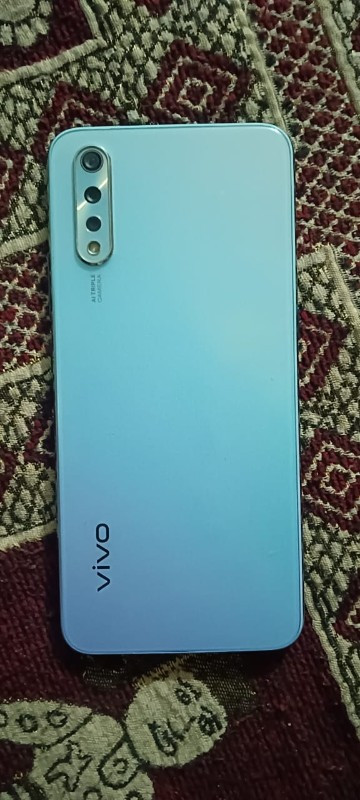 vivo