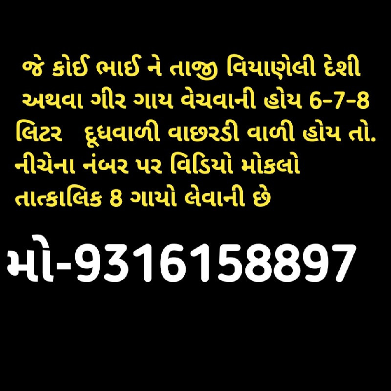 8 ગીર ગાયો લેવા...