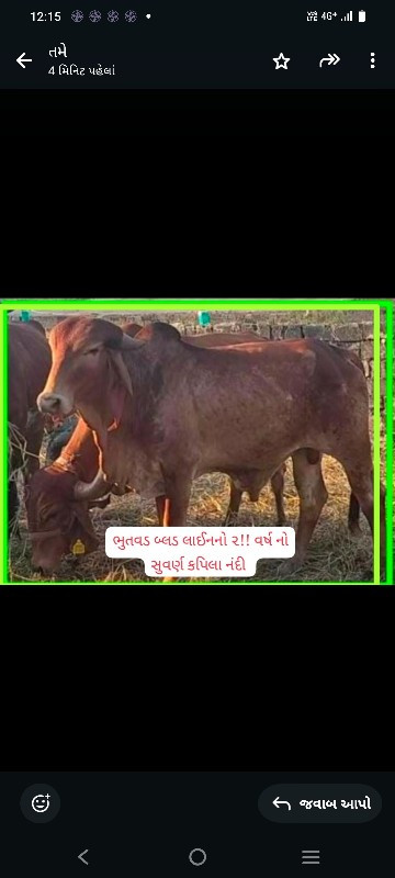 સારી બ્લડ લાઈન...