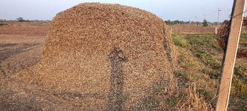 મગફળી નો ભુક્કો