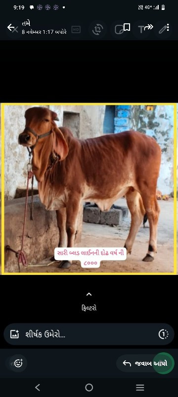 સારી બ્લડ લાઈનન...