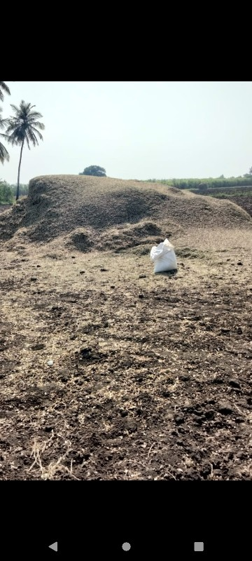 પાલોવેસવિનોસૈ