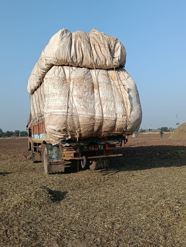 માડવી નો ભૂકો મ...