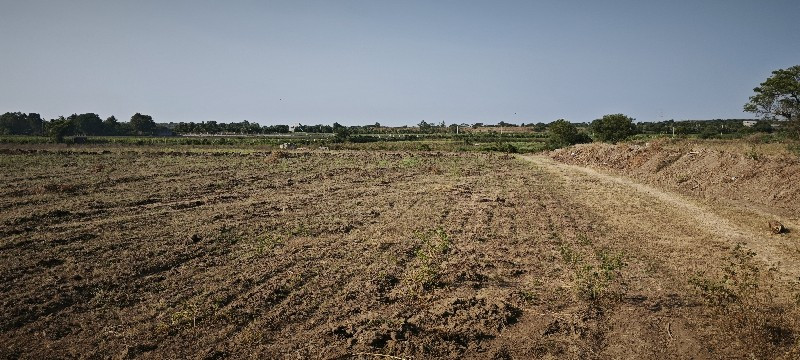 જમીન વેચવાની છે