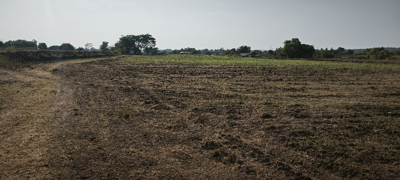 જમીન વેચવાની છે