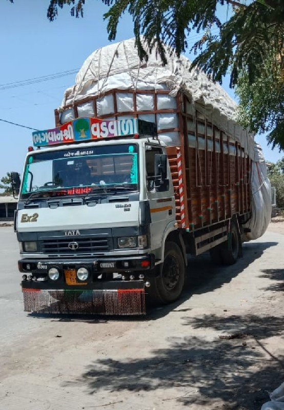 મગફડી ના પાલા મ...