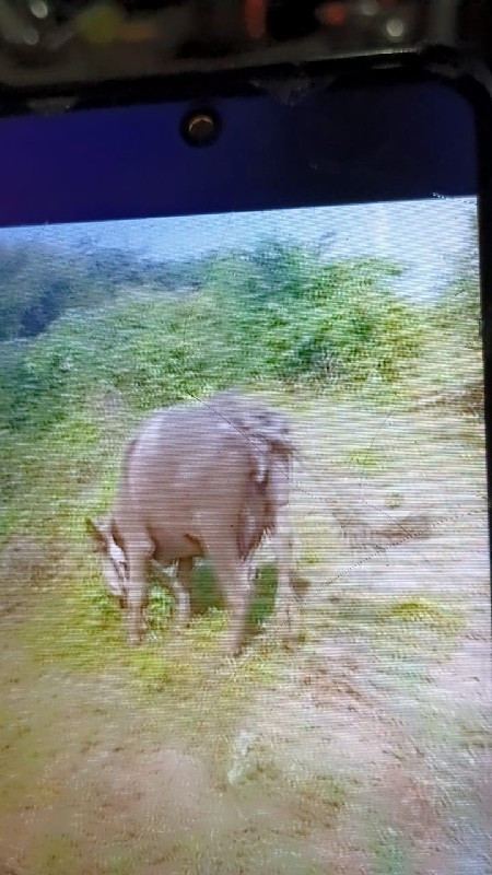 ગામ બારા તાલુકો...