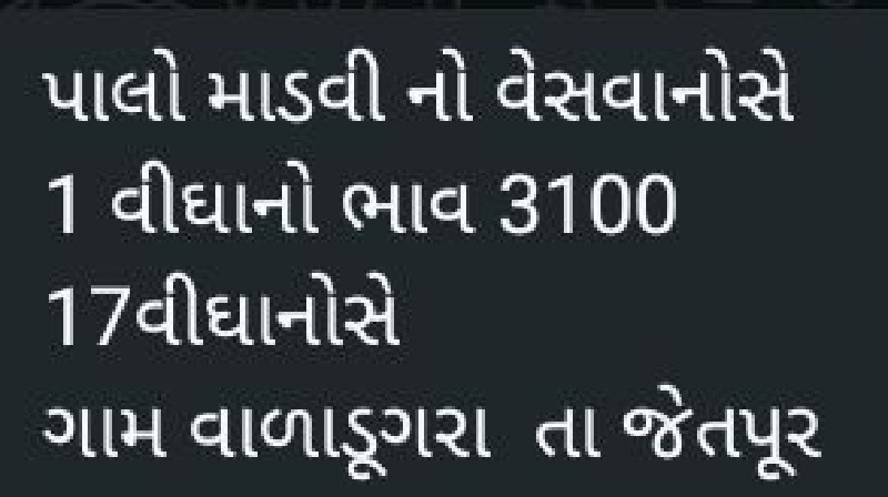 પાલો