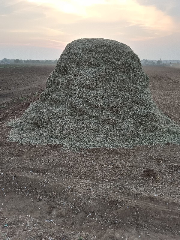 અળદ નો ભુક્કો વ...