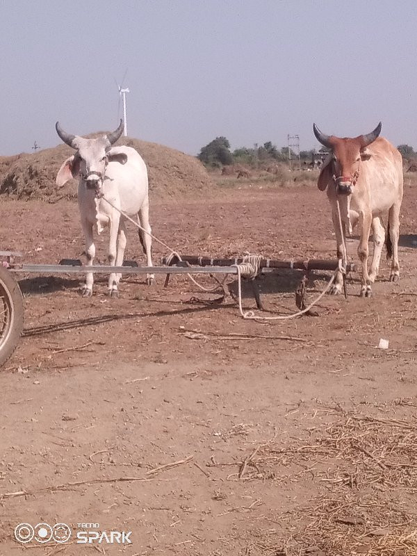 વેચવાનુછે