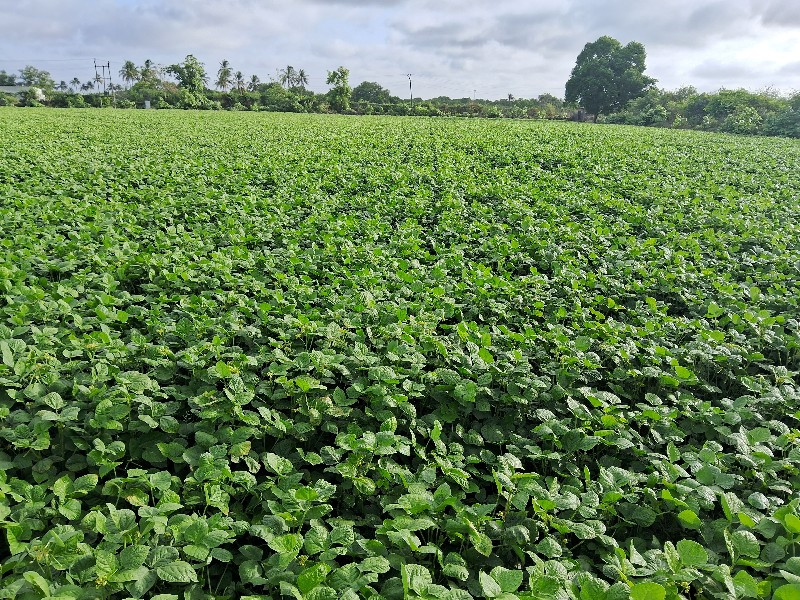 દેશી ખાતર વેચવા...