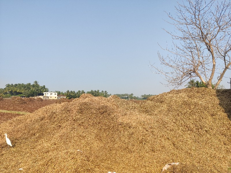 મગફળી નો ભુકો
૭...