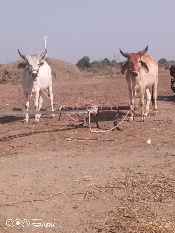 વેચવાનુછે