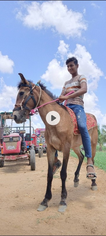 સાટા કરવા છે