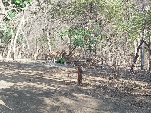 ખેતર વેચવાનું છ...