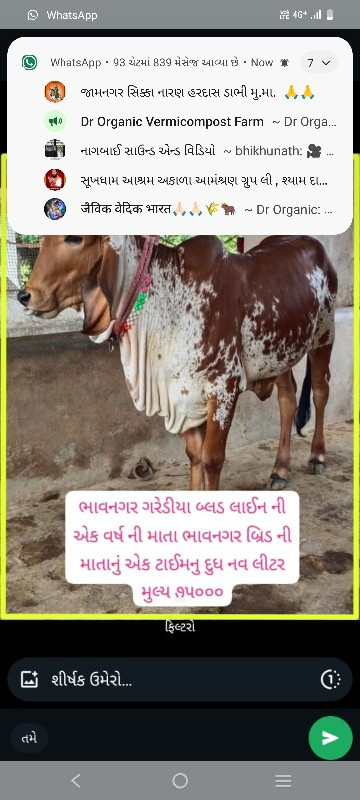 સારી બ્લડ લાઈનન...