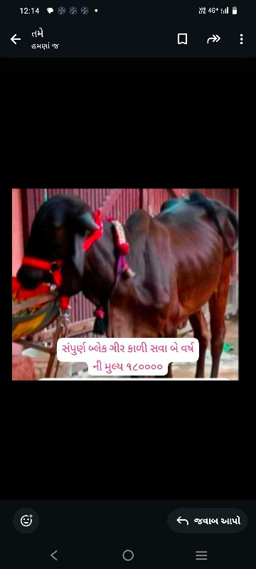 સારી બ્લડ લાઈનન...