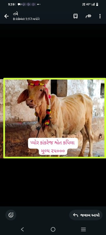 સારી બ્લડ લાઈનન...