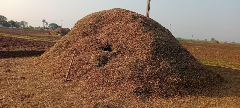 ભુકો વેચવા નો છ...