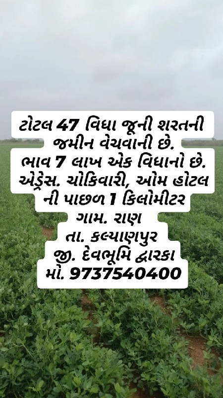 જમીન વેચવાની બો...