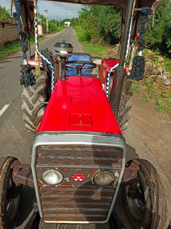 MASSEY 241