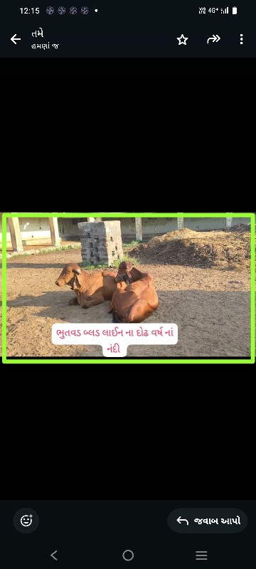 સારી બ્લડ લાઈન...