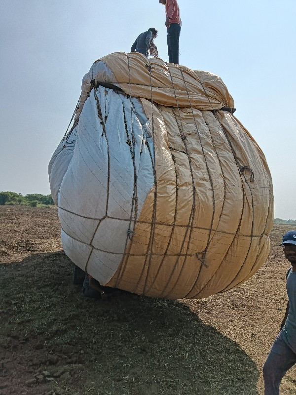 પાલોલેવેચમાટેમલ...