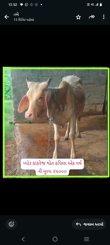 સારી બ્લડ લાઈનન...