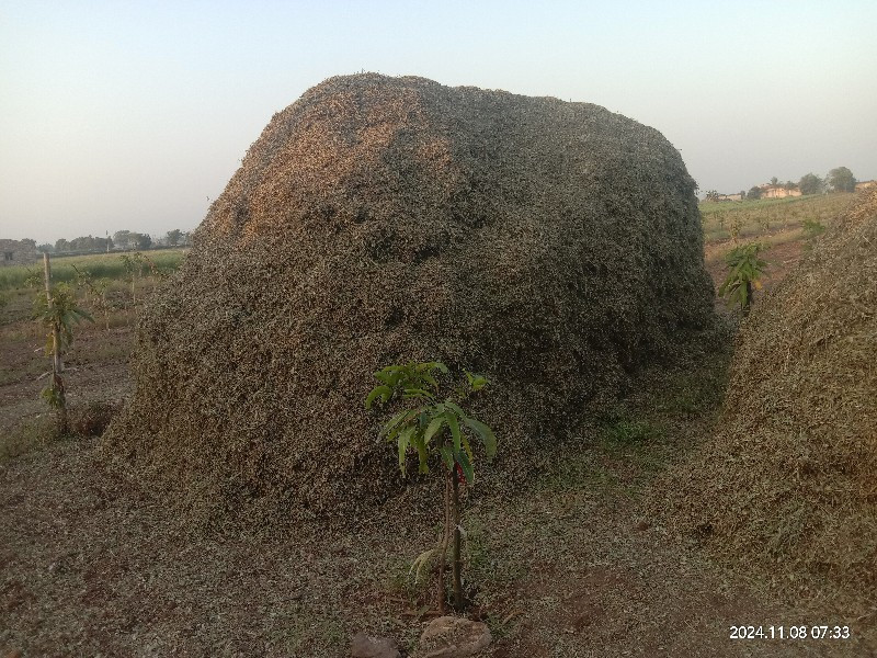 જી20નોસાળ વેચવા...