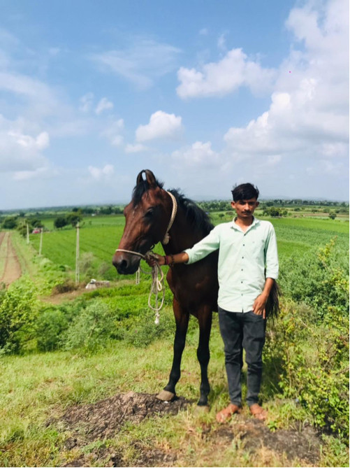 વેસવાનો છે