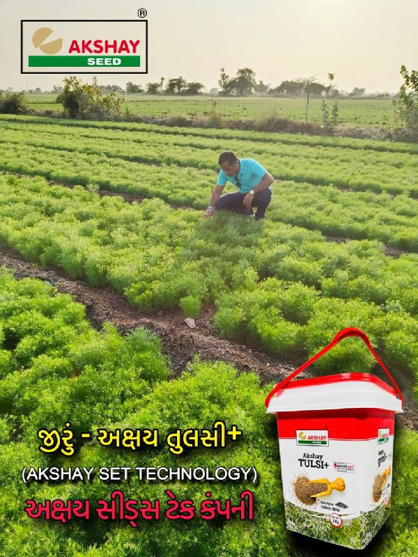 મગફળી નો ભૂકો વ...